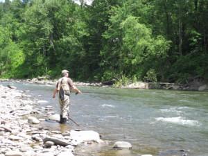 Le mouching, fly fishing, Esopus PINE HILL MEMORIES.