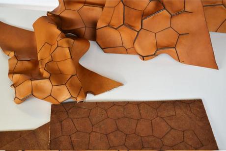 Projet Cuir de caractère par Laëtitia Fortin Projet Cuir de caractère par Laëtitia Fortin