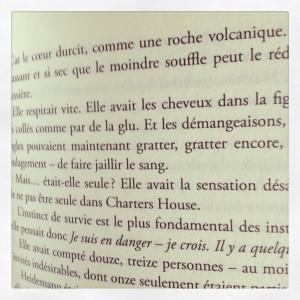 Mudwoman par Joyce Carol Oates ou la figure accentuée d’une Venus en Capricorne ! mud 3