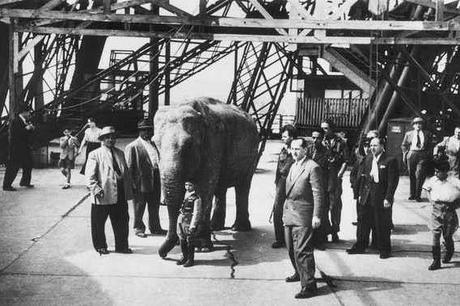Un lieu, une histoire: Une éléphante sur la Tour Eiffel