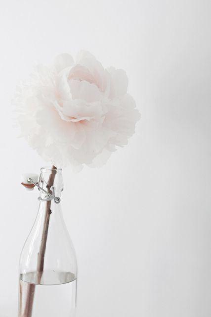 Bouquet de fleur pour la décoration vase dans bouteille