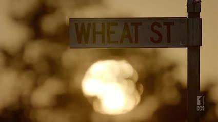 (AUS) The Gods of Wheat Street : portrait de famille aborigène empli de fraîcheur et d'émotions GodsofWheatStreet2e_zps059e8eef.jpg