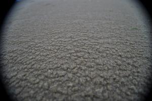Monkey Eyes (197) Traces de Vent sur Sable