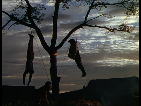 La Flèche brisée - Broken Arrow, Delmer Daves (1950) La Flèche brisée - Broken Arrow, Delmer Daves (1950)