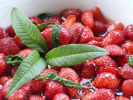 Fraises en infusion de verveine citronnelle fraises verveine