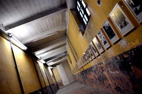 L'art taulard en Avignon La disparition des Lucioles, Collection Lambert, Collection Enea Righi, Avignon, Prison Sainte-Anne