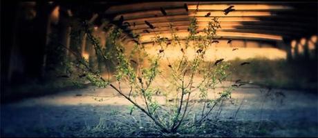 DAYS : « Day Thirty Five – Ruins » Days-35