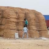 Un Sphinx de Gizeh en Chine Sphinx-Chine 03