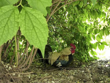 La Provence comme au temps de Pagnol La Provence comme au temps de Pagnol