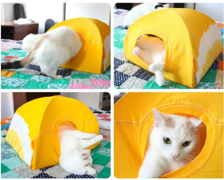 Une tente pour ton matou cat tent 2