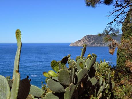 Une terre, deux terres, trois terres… et les différentes formes de voyage Une terre, deux terres, trois terres… et les différentes formes de voyage