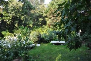 Un jardin bien caché dans Dorsoduro