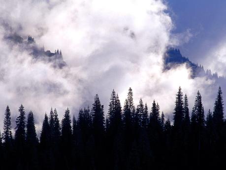 Nuages wallpaper-foret-et-nuage.jpg