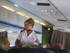 stewardess hotesse de l'air steward