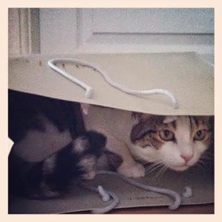 Un peu de moi sur Instagram ... Ma semaine en photos ! Part 40 Un peu de moi sur Instagram ... Ma semaine en photos ! Part 40