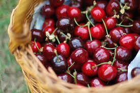 Denise est revenue cerises