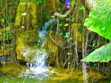 Le Carbet Amazonien Le Carbet Amazonien