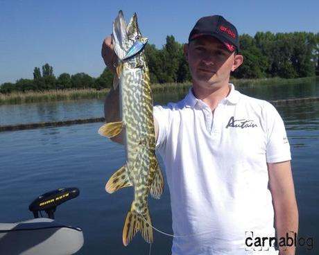 (Pas) Grand (et pas) Large 18-05-2014--1-.JPG