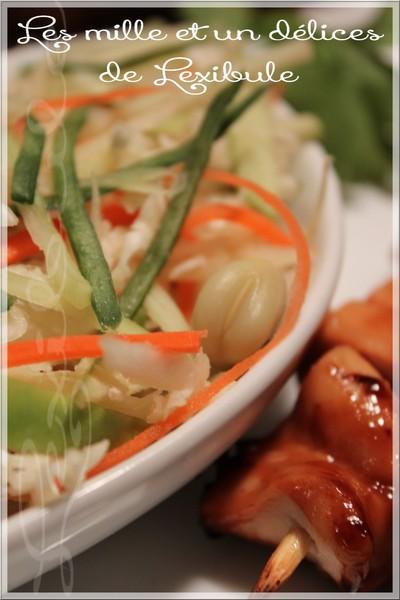 ~Brochettes de poulet piquantes et salade fraîcheur~ ~Brochettes de poulet piquantes et salade fraîcheur~