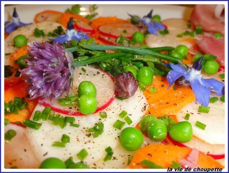 carpaccio de légumes-2016