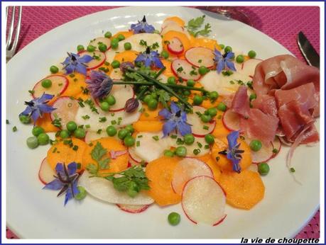 carpaccio de légumes-2007