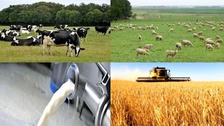 Développement des principales filières agricoles, l’une des priorités du plan quinquennal 2015-2019