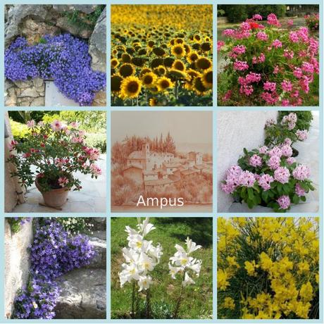 Bulletin municipal collage Fleurs d'Ampus