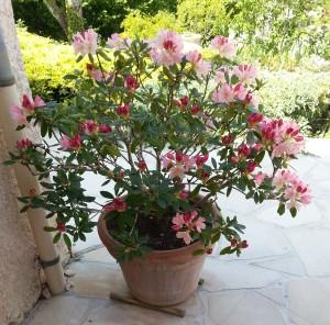 Bulletin municipal 067