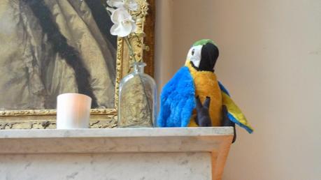 Prémices brésiliens Prémices brésiliens