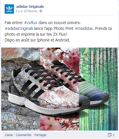 Customisez votre Adidas ZX Flux avec vos photos! photo Adidas ZX Flux Miadidas
