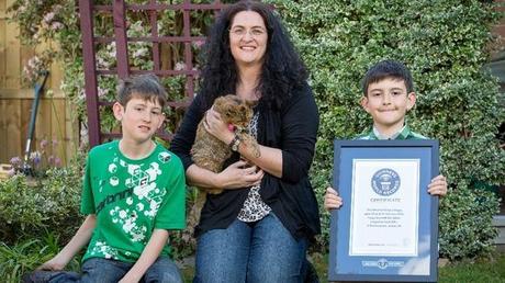 La plus vieille chatte du monde record plus vieille chatte