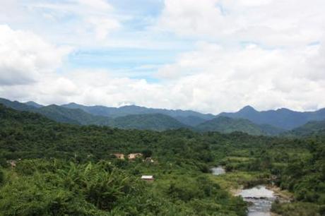 Rainforest - Vietnam