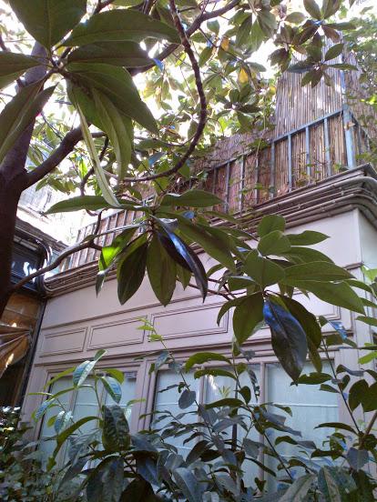 Réparation de parapluies…! Réparation de parapluies…!