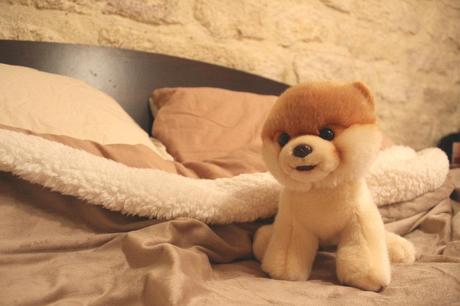 No Jogging At Home (CONCOURS) No Jogging At Home (CONCOURS)