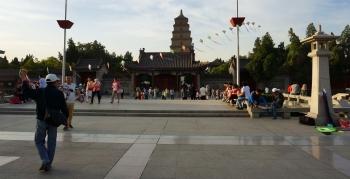 cerf-volant cerf-volant