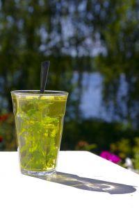 Effet de la supplémentation en thé vert sur l’oxydation des lipides pendant un effort modéré mint-tea-marmit