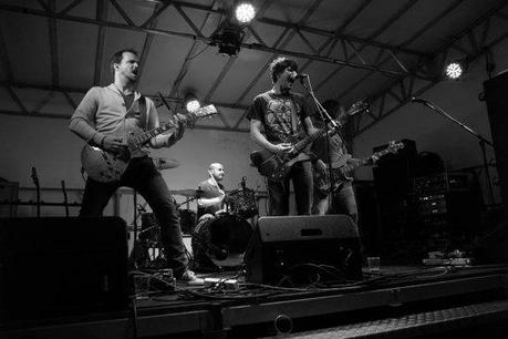 Progstone 1025520579 Progstone