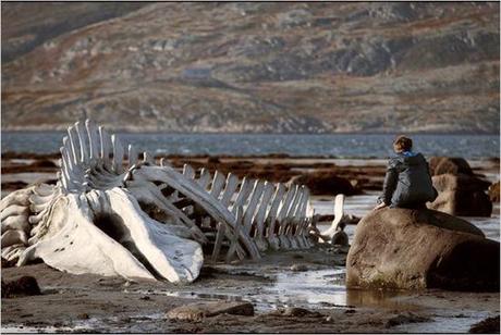 Leviathan - 2 Leviathan - 2