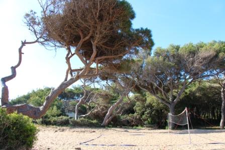 Nature et vacances sportives à l’UCPA d’Hyères UCPA Hyeres