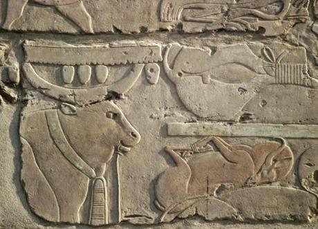 Les anciens Égyptiens mangeaient-ils comme nous ? Si vous êtes végétarien, probablement... ! En Égypte antique ! c-CNRS--c-CHENE-Antoine-laboratoire--UPR1002-jpg