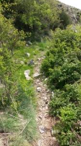 La Chaussee des Geants 2014 : mon gagnant ainsi que les dernieres infos! 20140508_113422