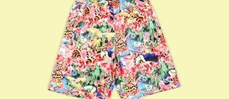 Summer Breeze K1X_Gnarly_Shorts_7