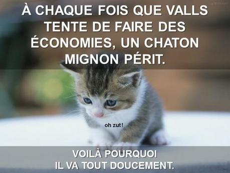 Allocution de François Hollande : le pédalo a encore rétréci quand valls économise un chaton mignon prend cher