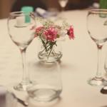 News Food #3 News Food #3