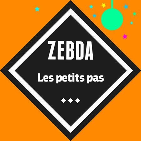 Zebda Les Petits Pas - DR