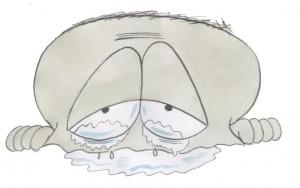 Mais il est où, le professeur Blequin ? 03-02-Le Tout-triste