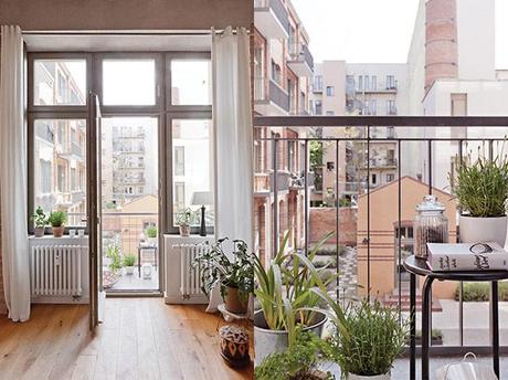 A l’état brut … brut5