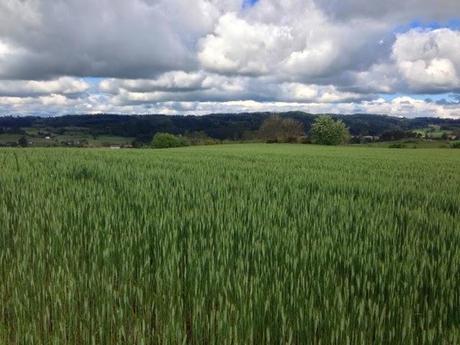 Promenade en direct Promenade en direct