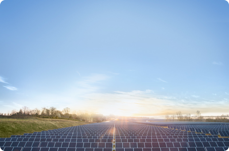 Apple environnement sustainable