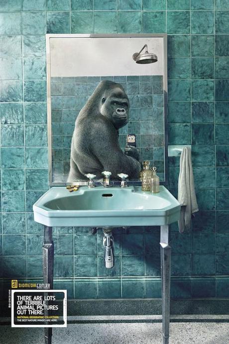 Publicité : Selfie by National Geographic 5